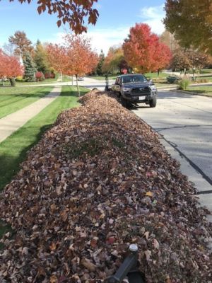 {{ custom_values.service_2 }} in {{custom_values.area_7})