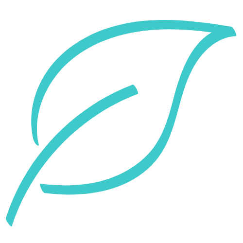 Attune Website Design mockup