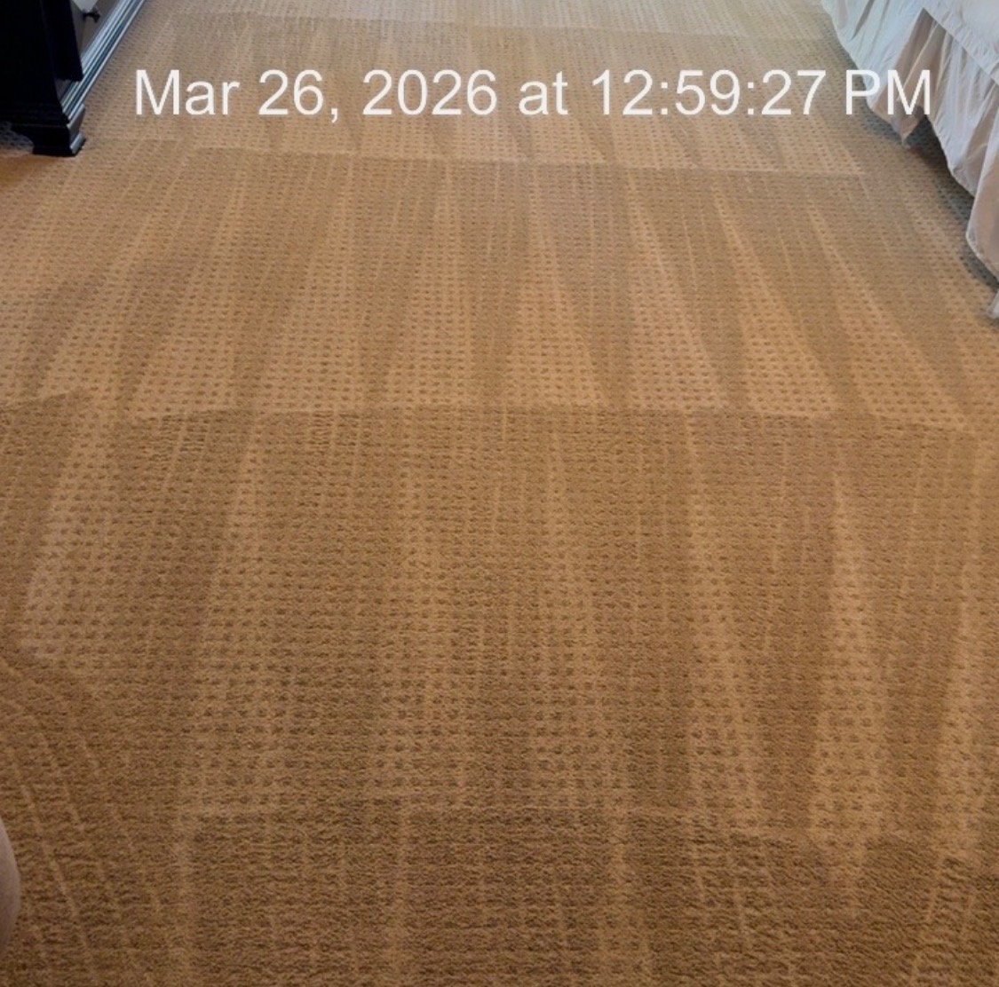  Standard Cleaning