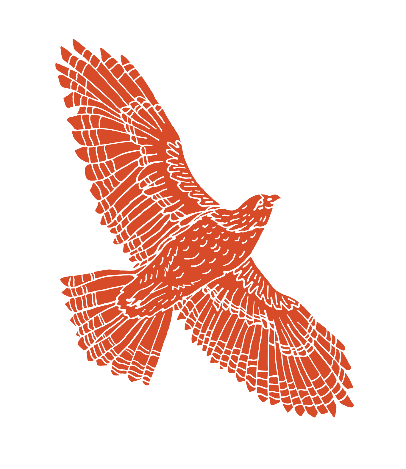 Nupona hawk — Protector of the Land