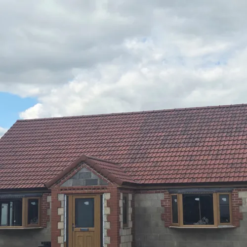 Recent roof project