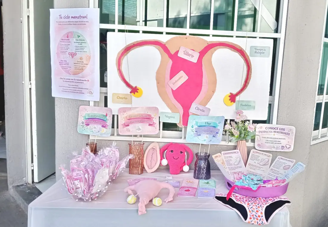 Mesa con el material del taller: lámina del ciclo menstrual, modelo de útero en fieltro, tarjetas y productos menstruales.