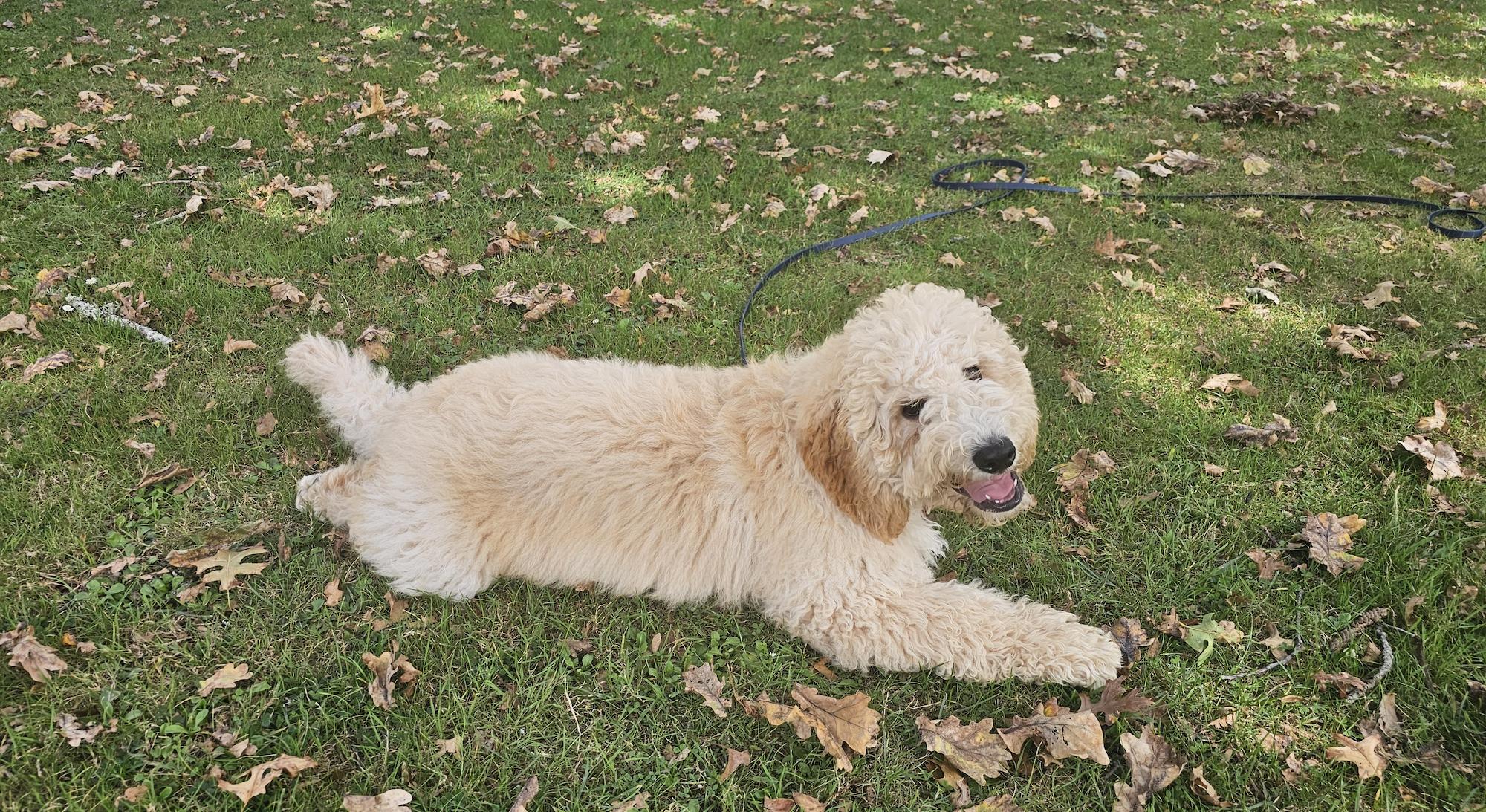 Keith lying in Auckland Domain, 5 months