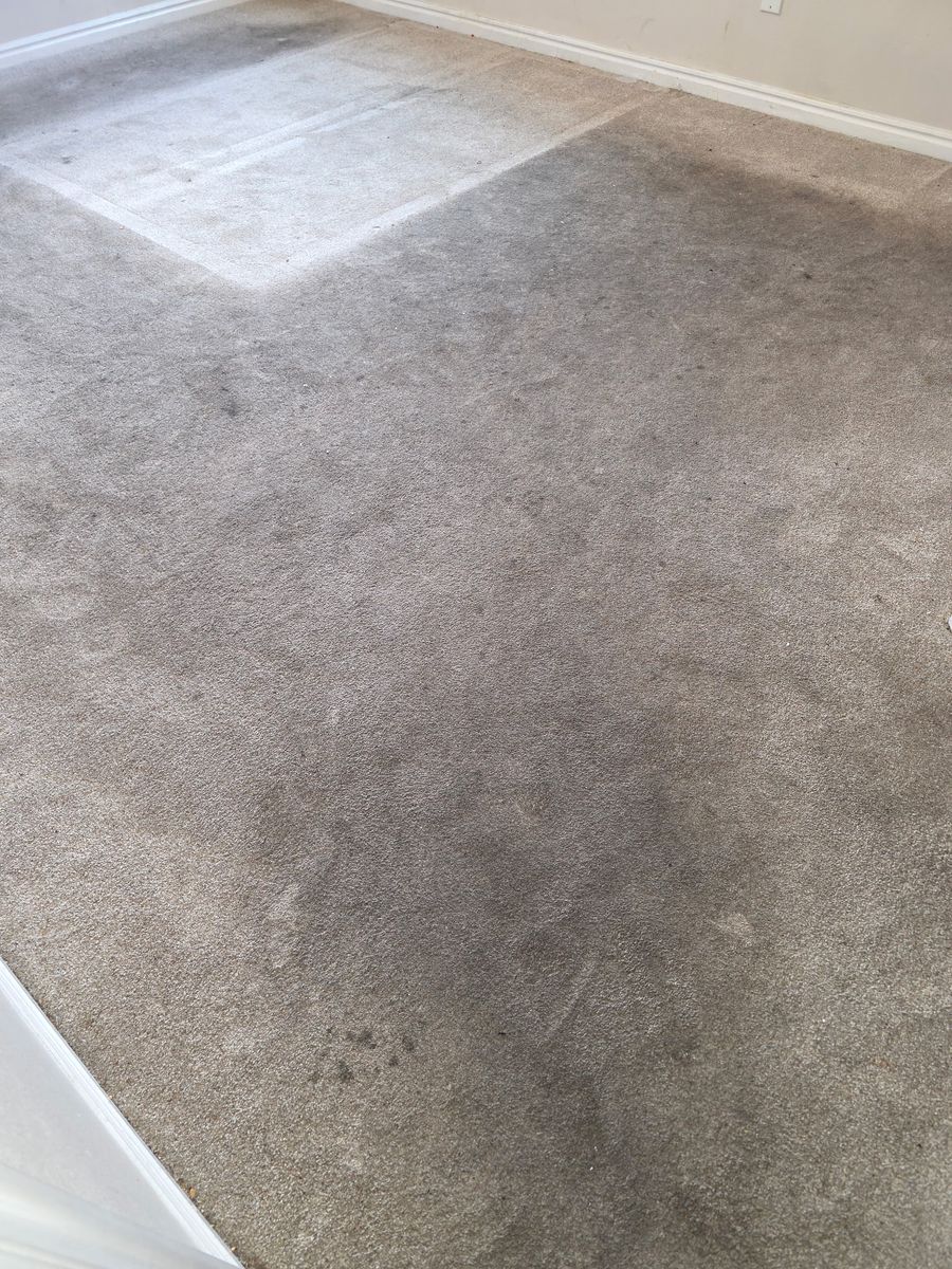 Before carpet cleaning