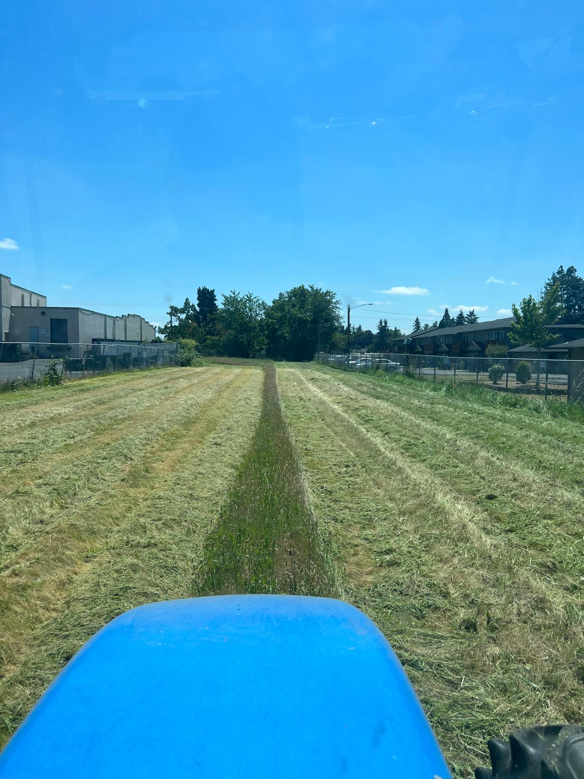 Tall grass field mowing completed by Metro Mowing Services and Maintenance LLC