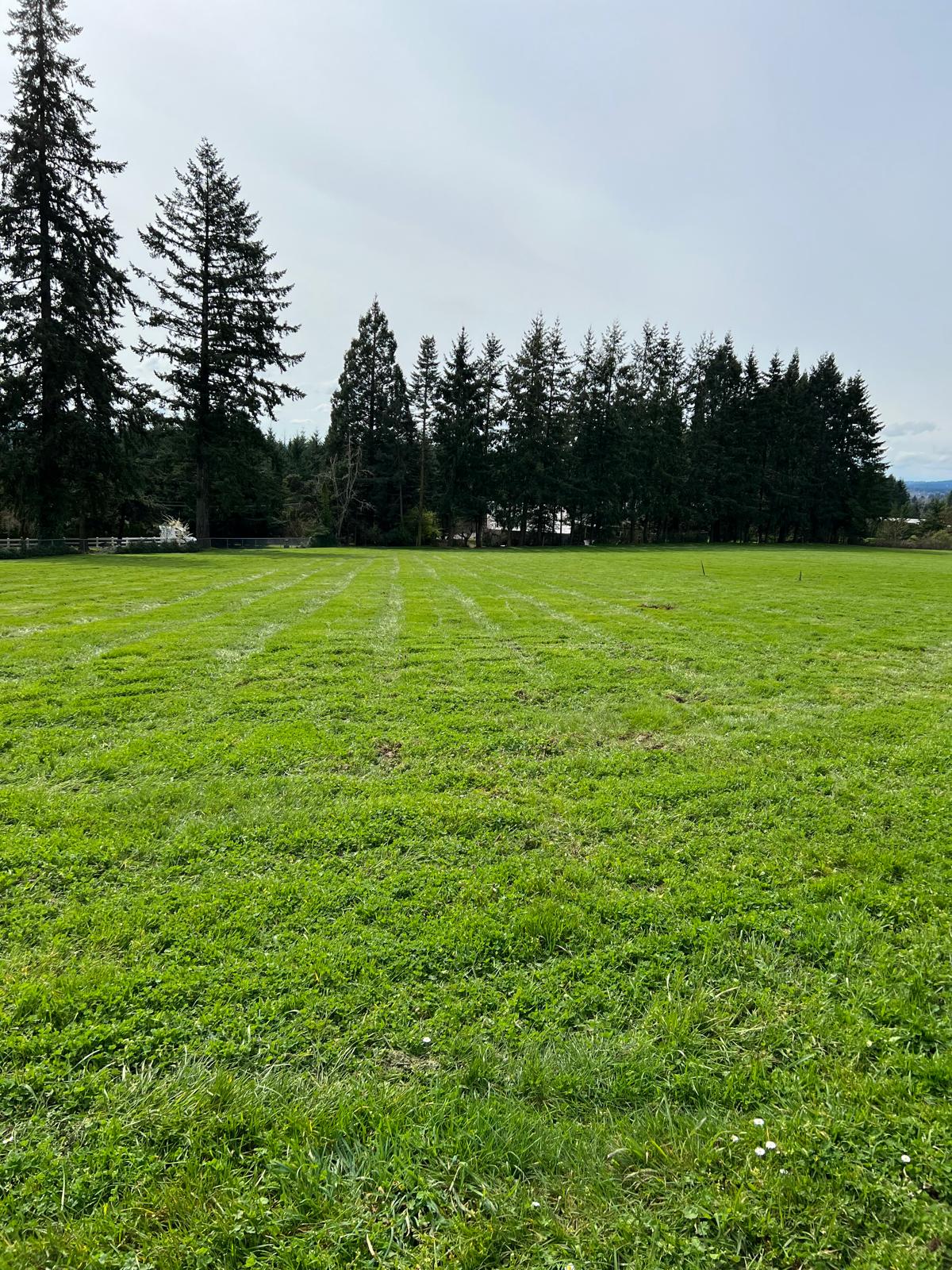 Freshly mowed field completed by Metro Mowing Services and Maintenance LLC