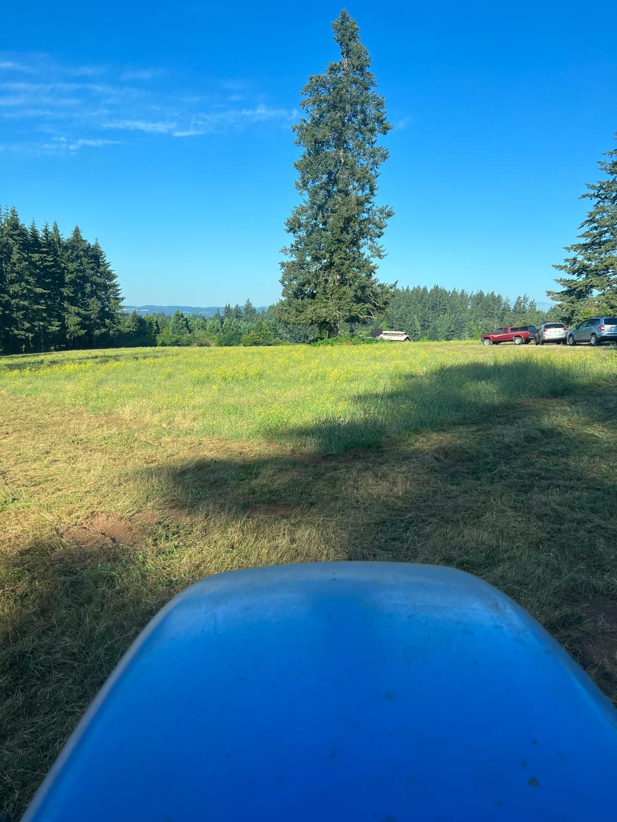 Acreage mowing completed by Metro Mowing Services and Maintenance LLC