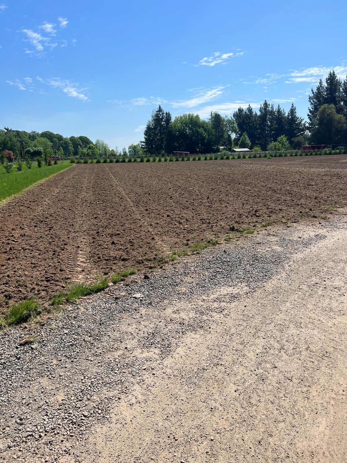 Land grading and soil prep completed by Metro Mowing Services and Maintenance LLC