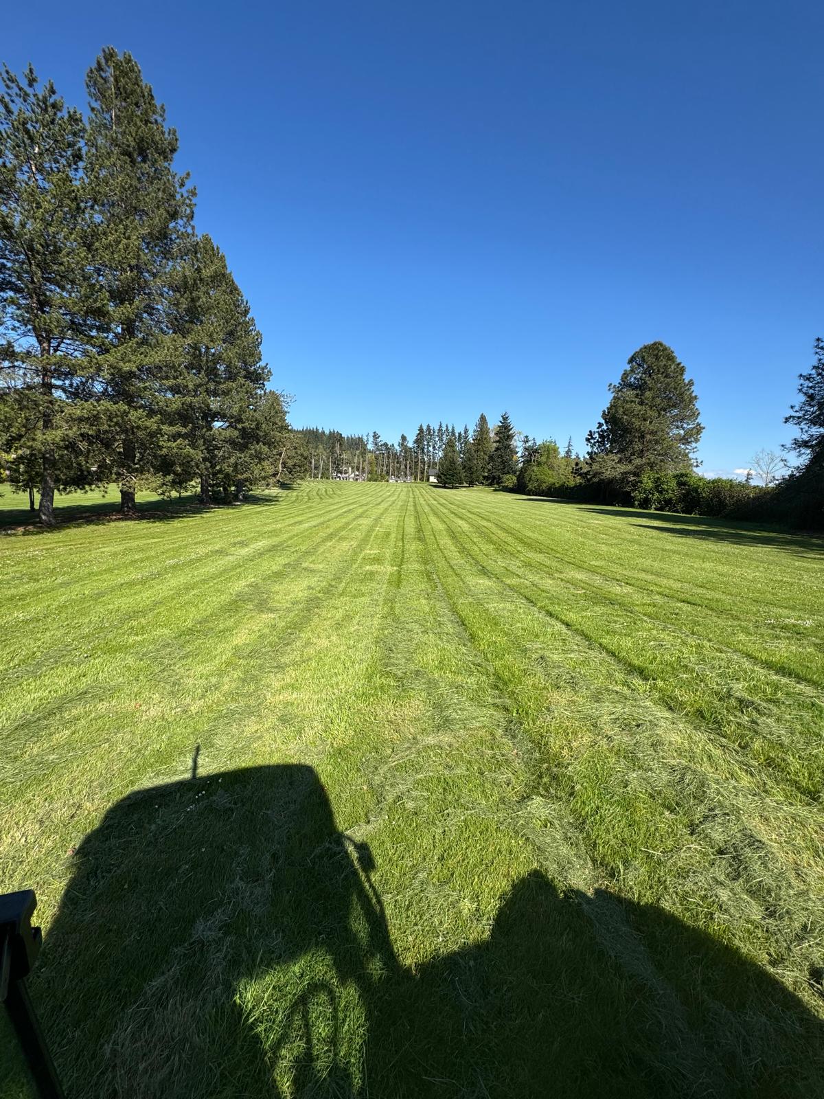 Lawn Mowing by Metro Mowing Services and Maintenance LLC in Gaston OR