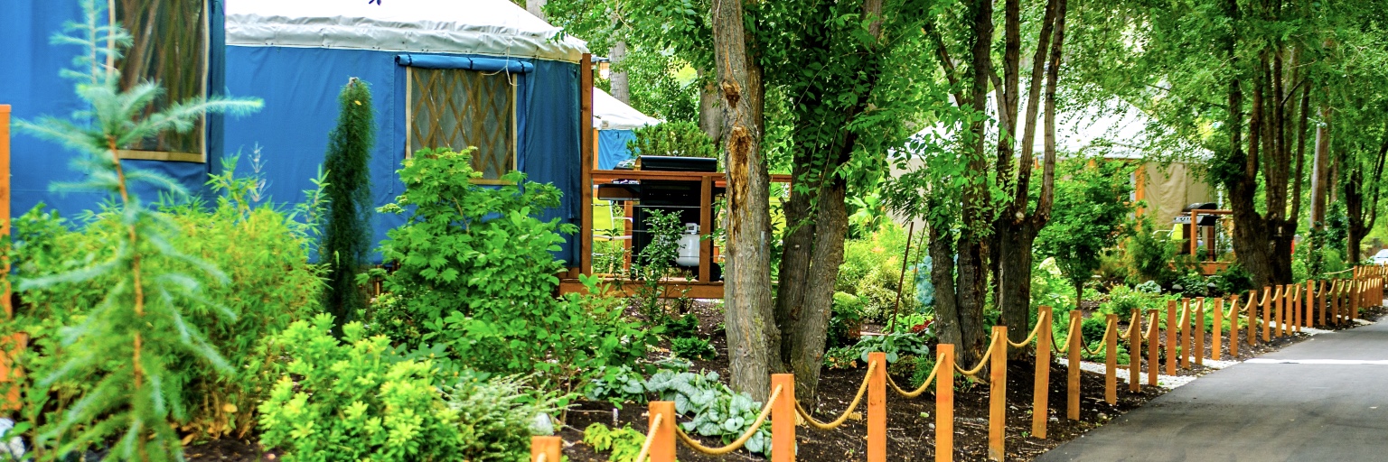Barefoot Beach Resort yurt village