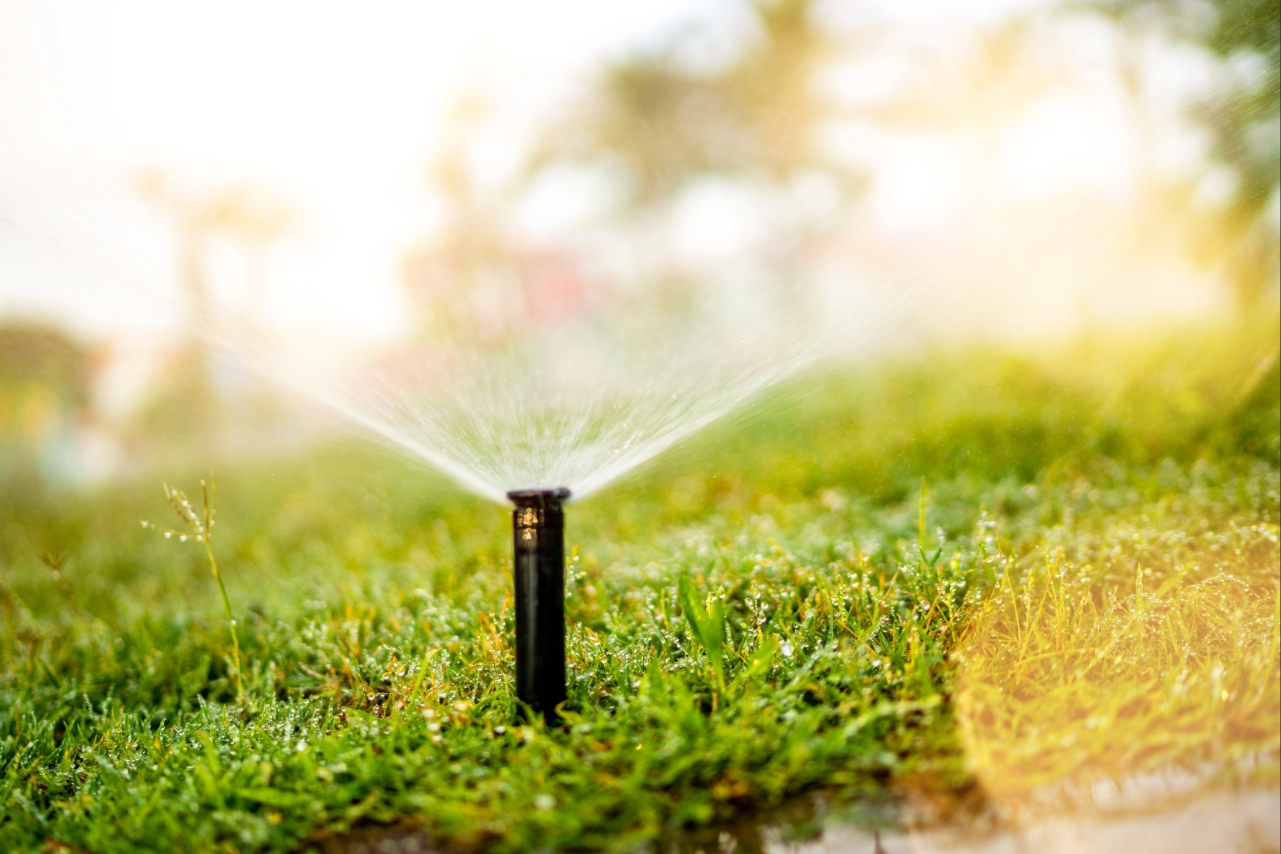 Automatic sprinkler system watering a healthy green lawn in the early morning