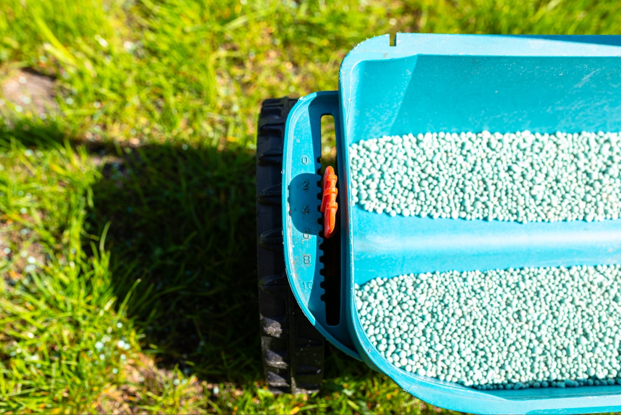 Applying fertilizer to a residential lawn for healthy grass growth