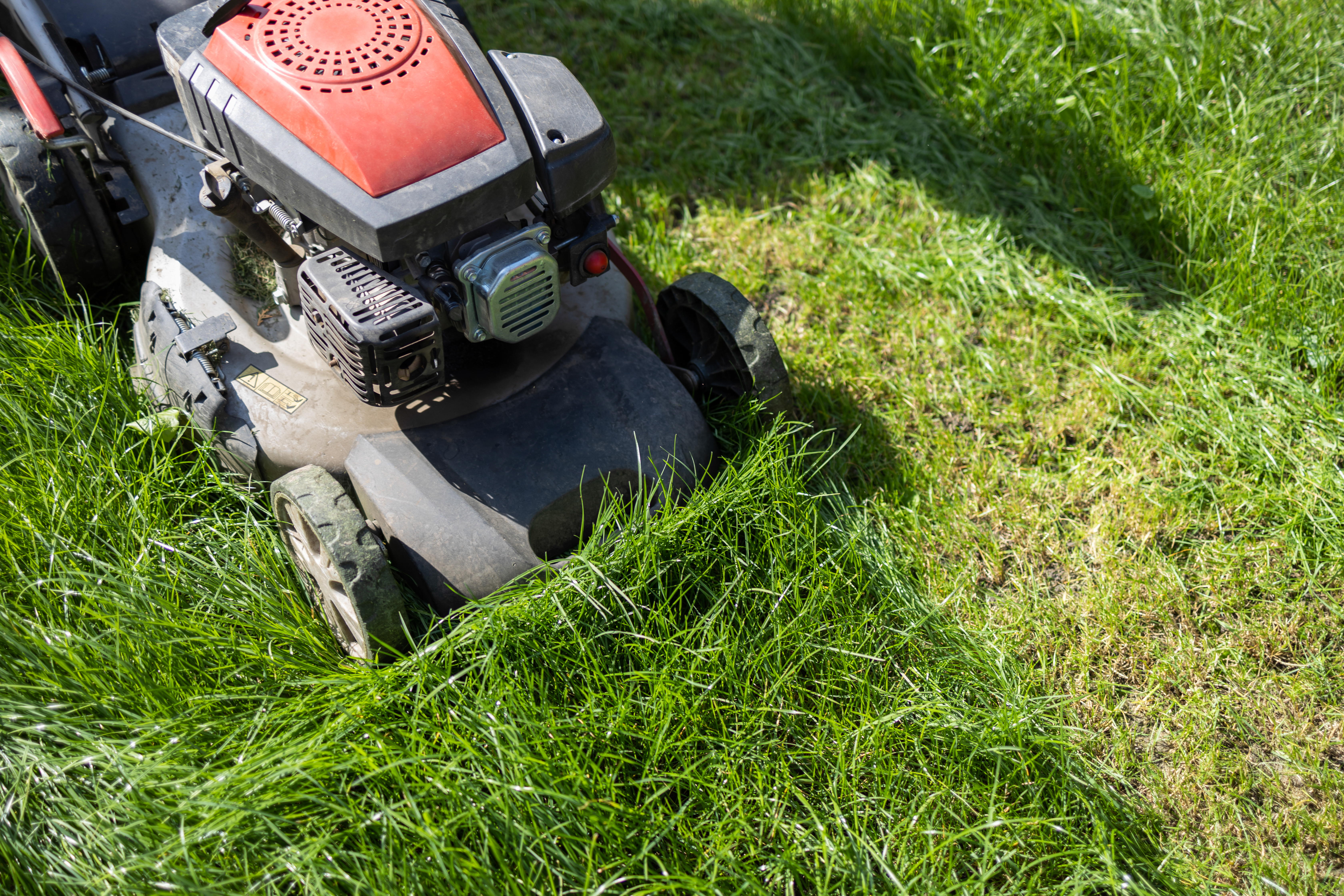 Professional mowing a residential lawn in Asheville NC