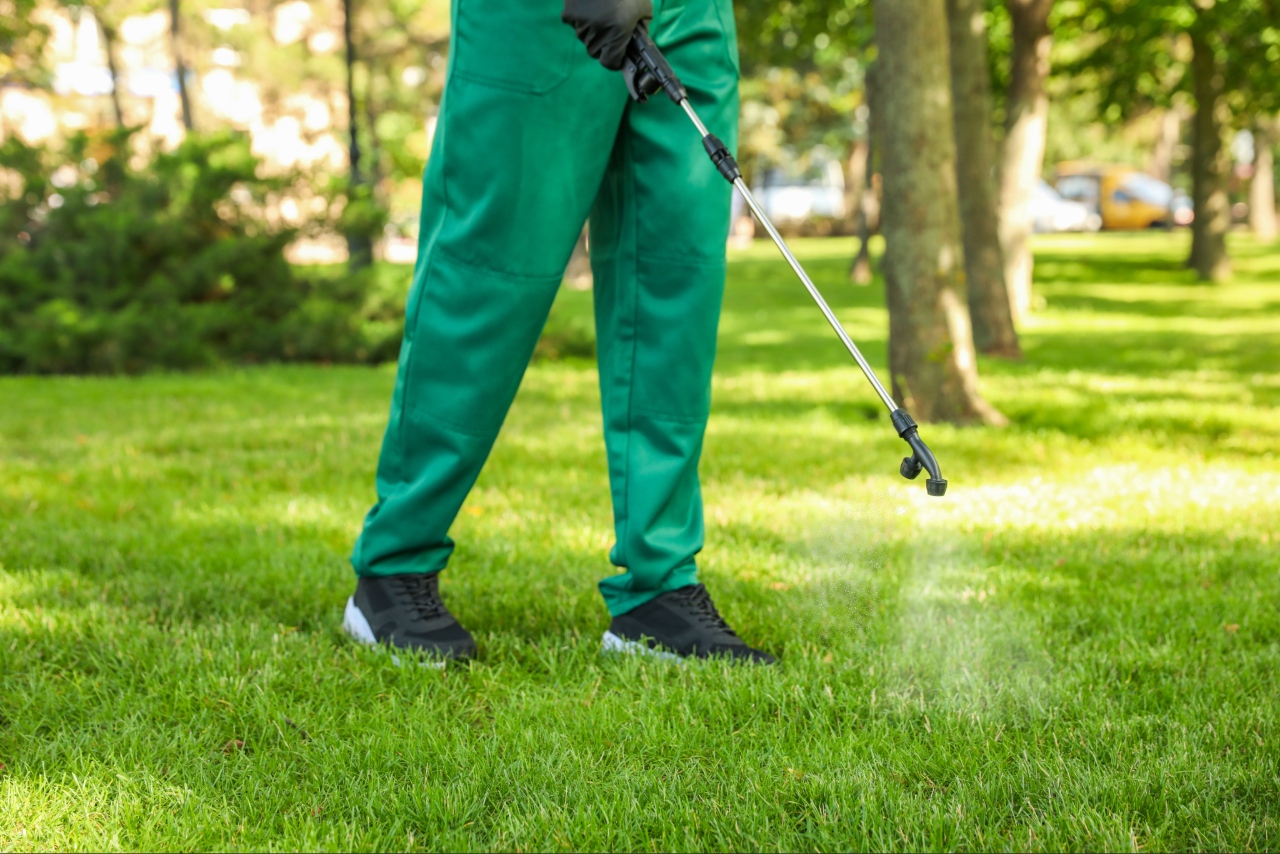 Professional weed control and lawn maintenance for a residential yard