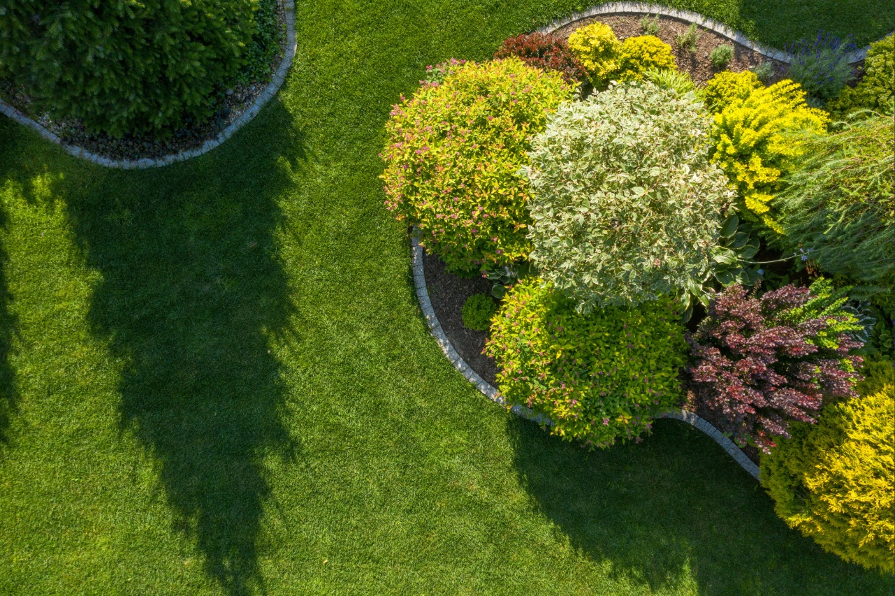 Healthy residential lawn maintained by professional lawn care services Healthy residential lawn maintained by professional lawn care services
