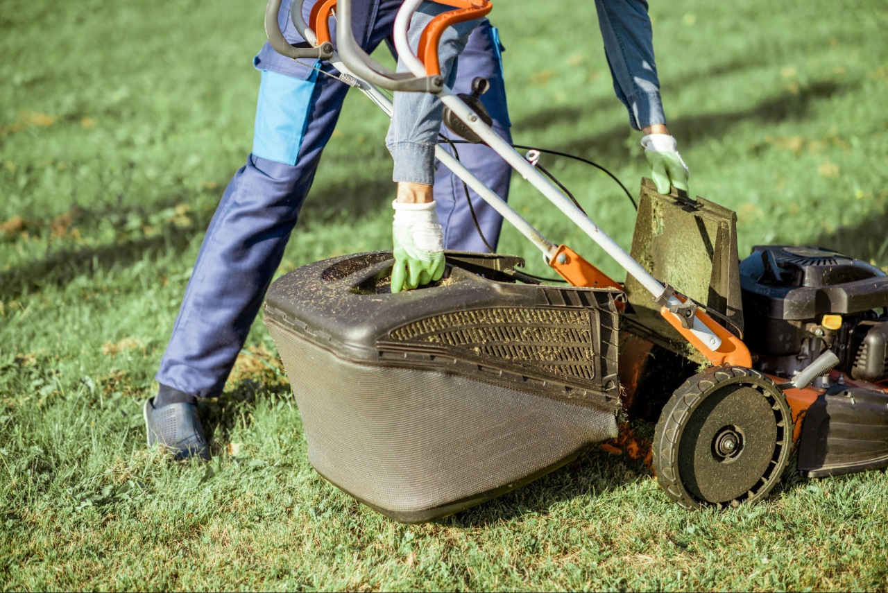 Core aeration equipment removing soil plugs from a residential lawn Core aeration equipment removing soil plugs from a residential lawn