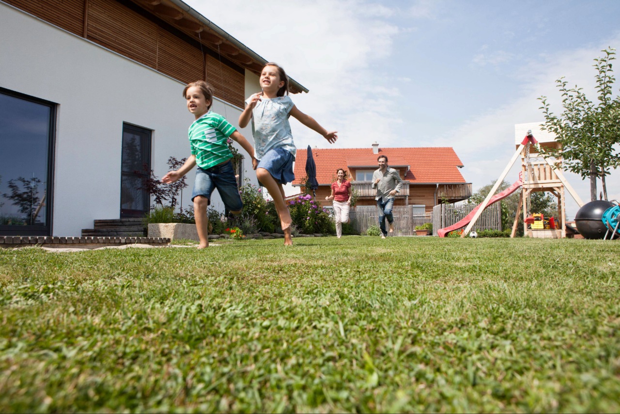 High-traffic residential lawn area with compacted soil High-traffic residential lawn area with compacted soil