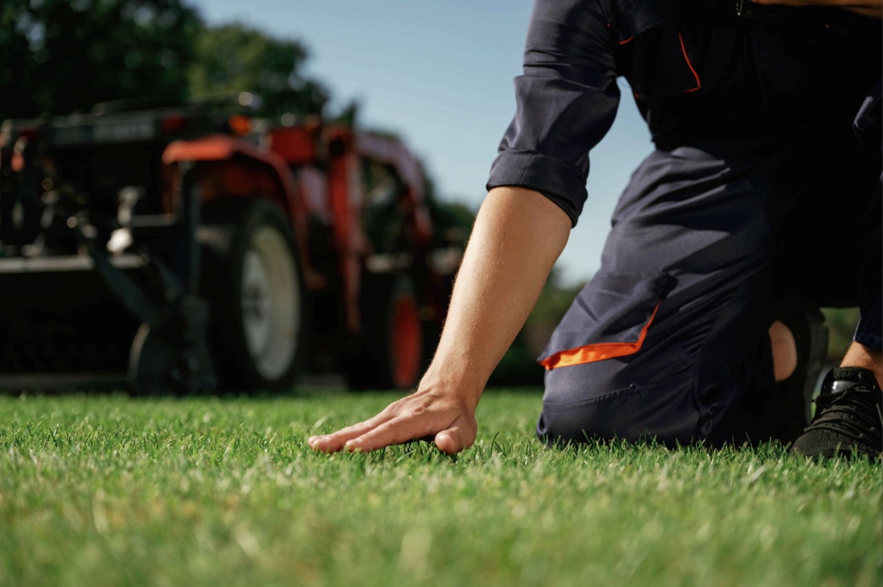 Professional lawn aeration service in Asheville NC Professional lawn aeration service in Asheville NC