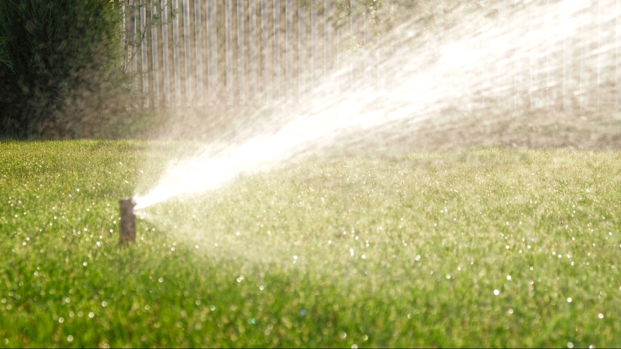 Proper watering of a healthy residential lawn Proper watering of a healthy residential lawn