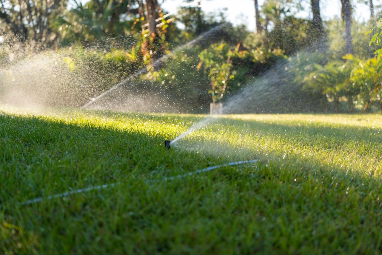 Early morning sprinkler watering residential lawn Early morning sprinkler watering residential lawn