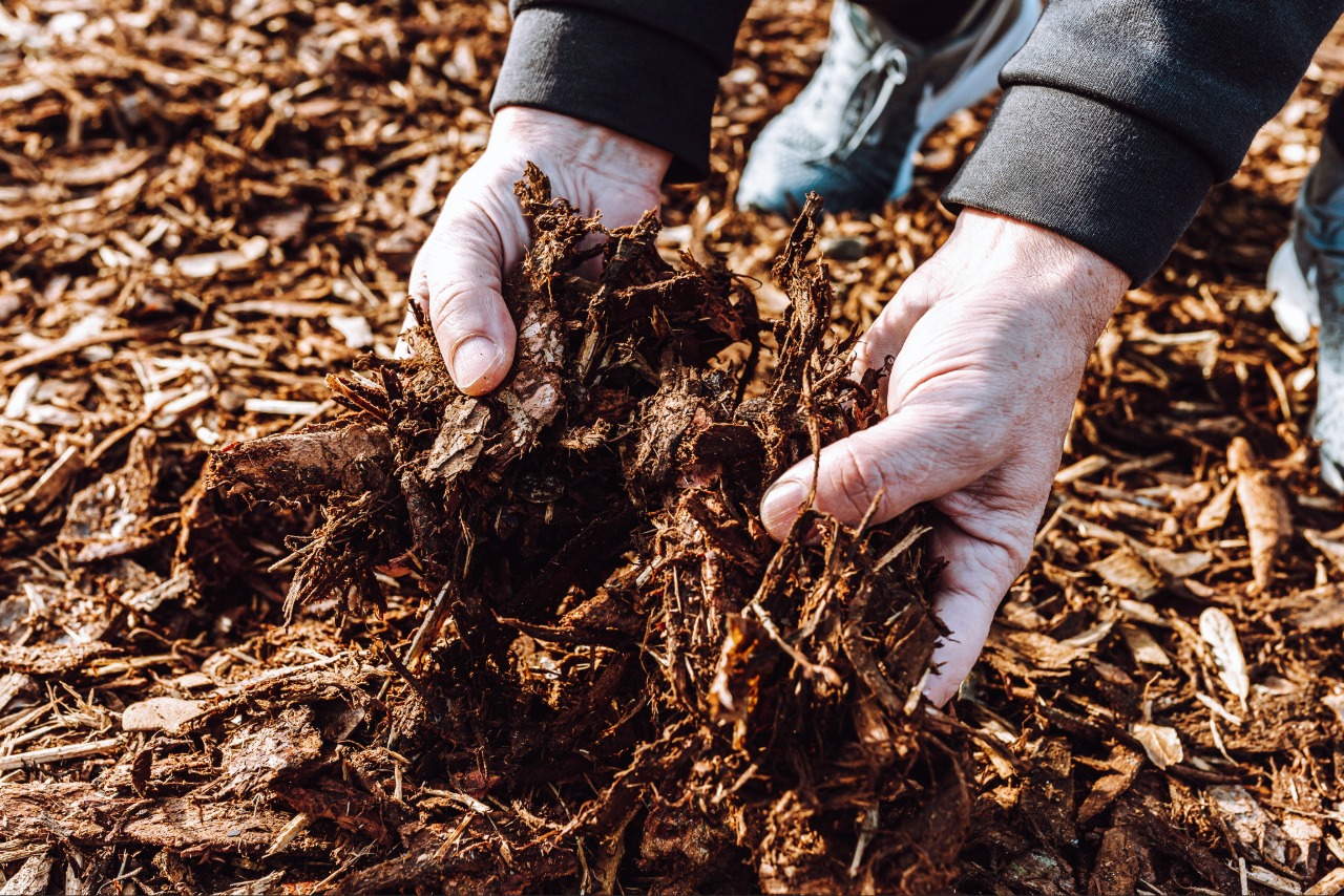 Organic mulch improving soil in an Asheville landscape Organic mulch improving soil in an Asheville landscape