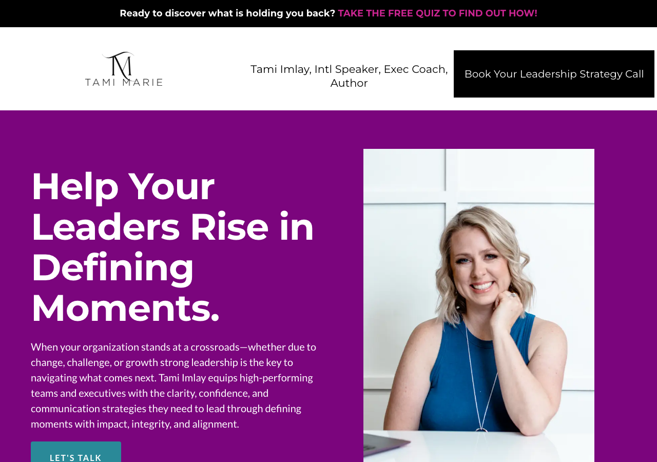 Tami Imlay website preview