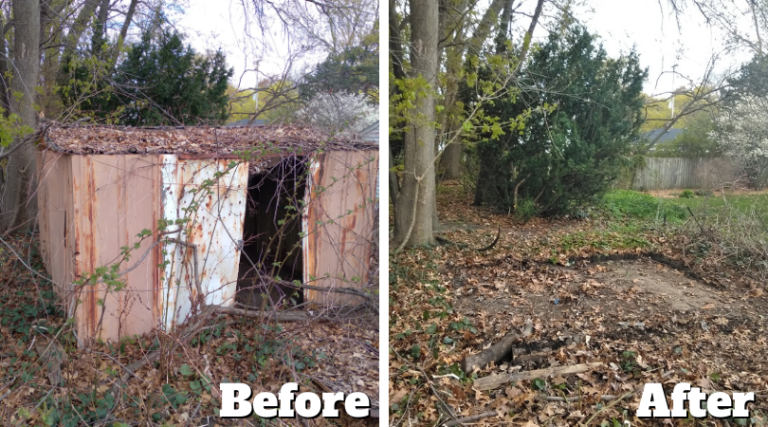 Shed removal Grand Rapids