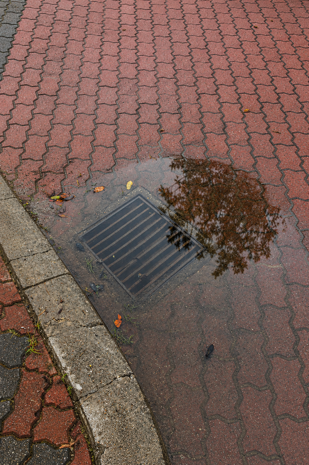 San Diego Storm Drain Systems