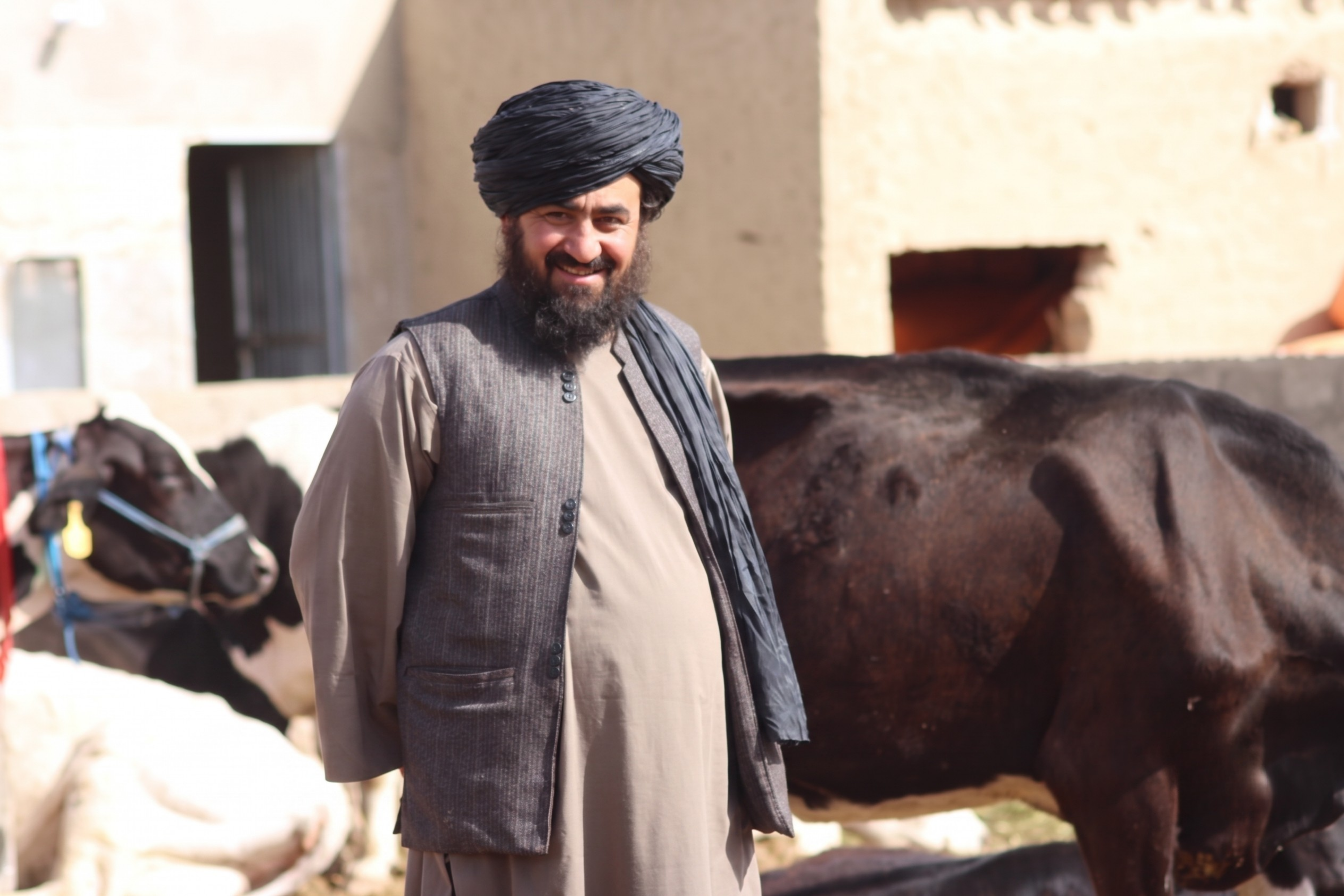 Arghandab Dairy Farm