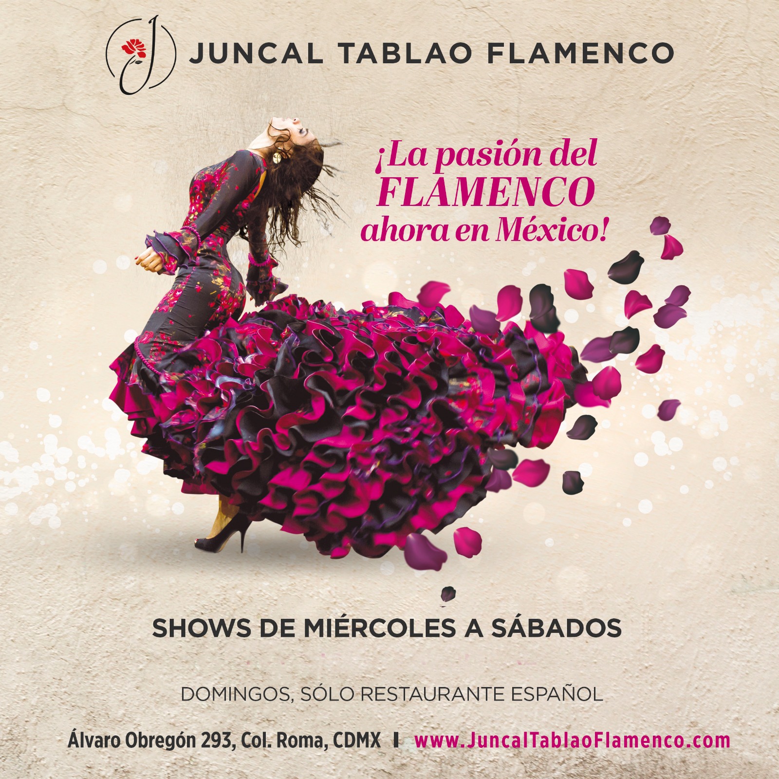 Caso de éxito Juncal Tablao Flamenco - Resultados de campaña WhatsApp