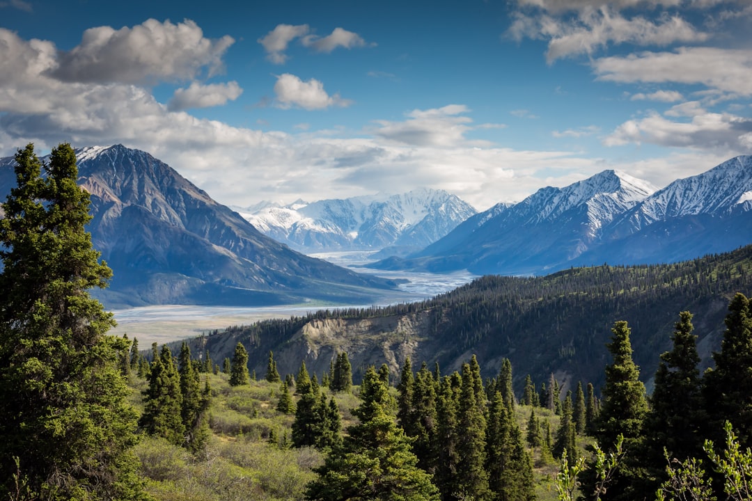 Large mountain range with trees in the foreground
