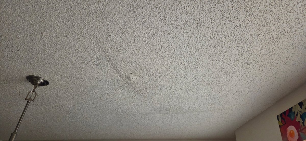 The water stain on DeDe's dining room ceiling where the condensate line leaked