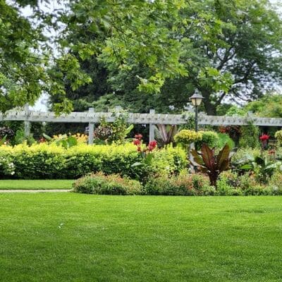 {{ custom_values.service_4 }} in {{custom_values.area_3})