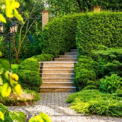 Landscape Design in Camarillo