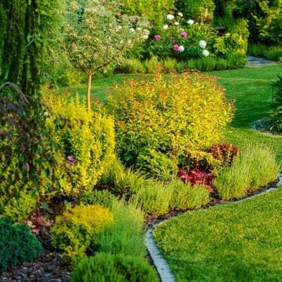 Xericscape Installation in Somis