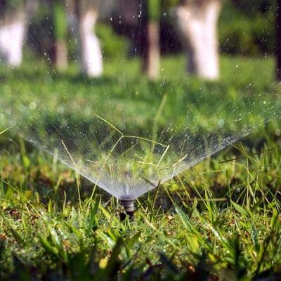 Artificial Turf in Camarillo