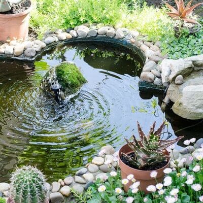 Landscape Design in Somis