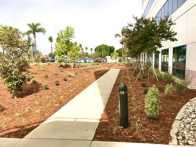 {{ custom_values.service_1 }} in {{custom_values.area_3})