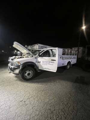 {{ custom_values.service_3 }} in {{custom_values.area_7})