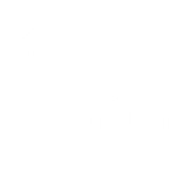 Technology and efficiency icon