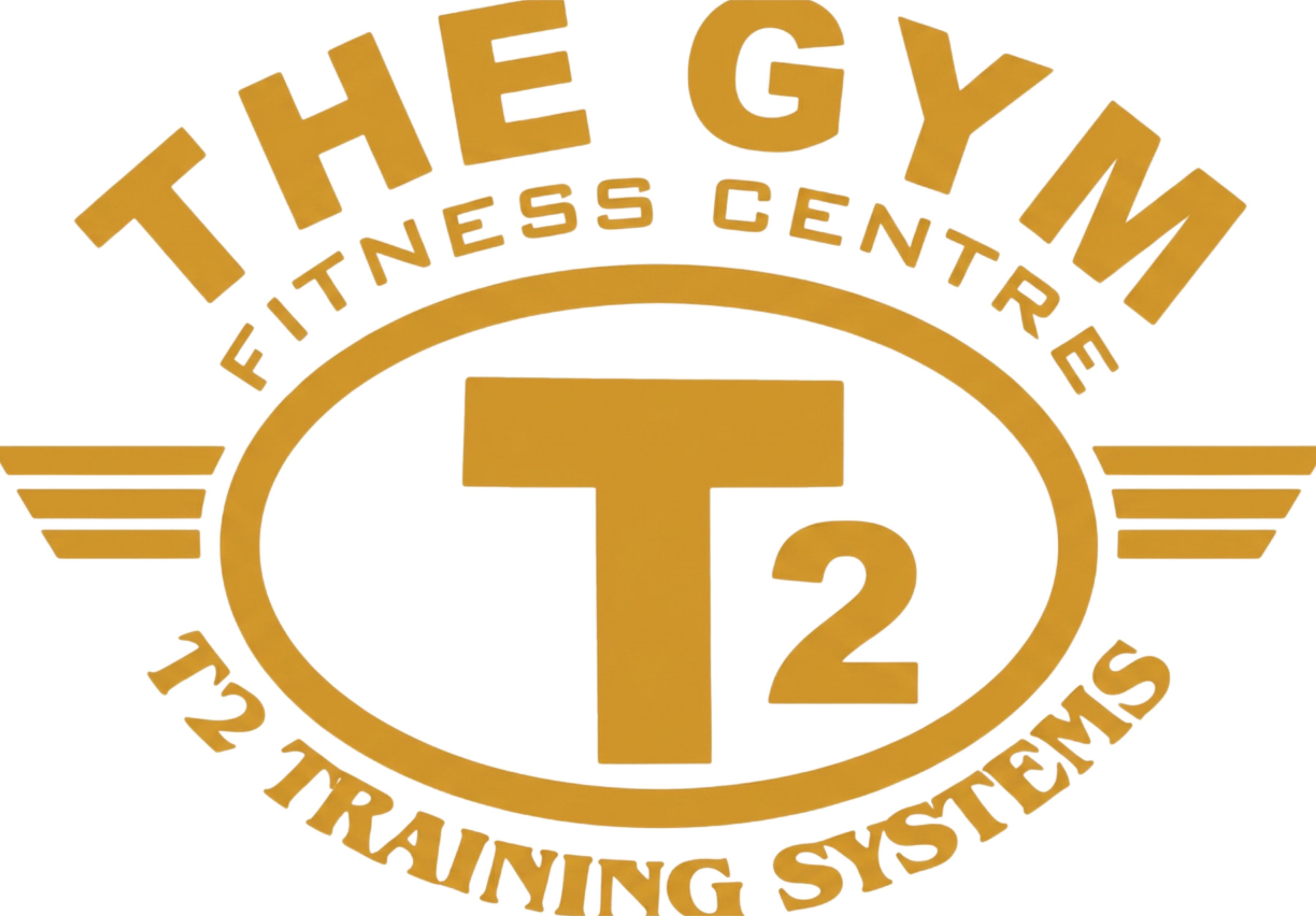 T2 Training Systems