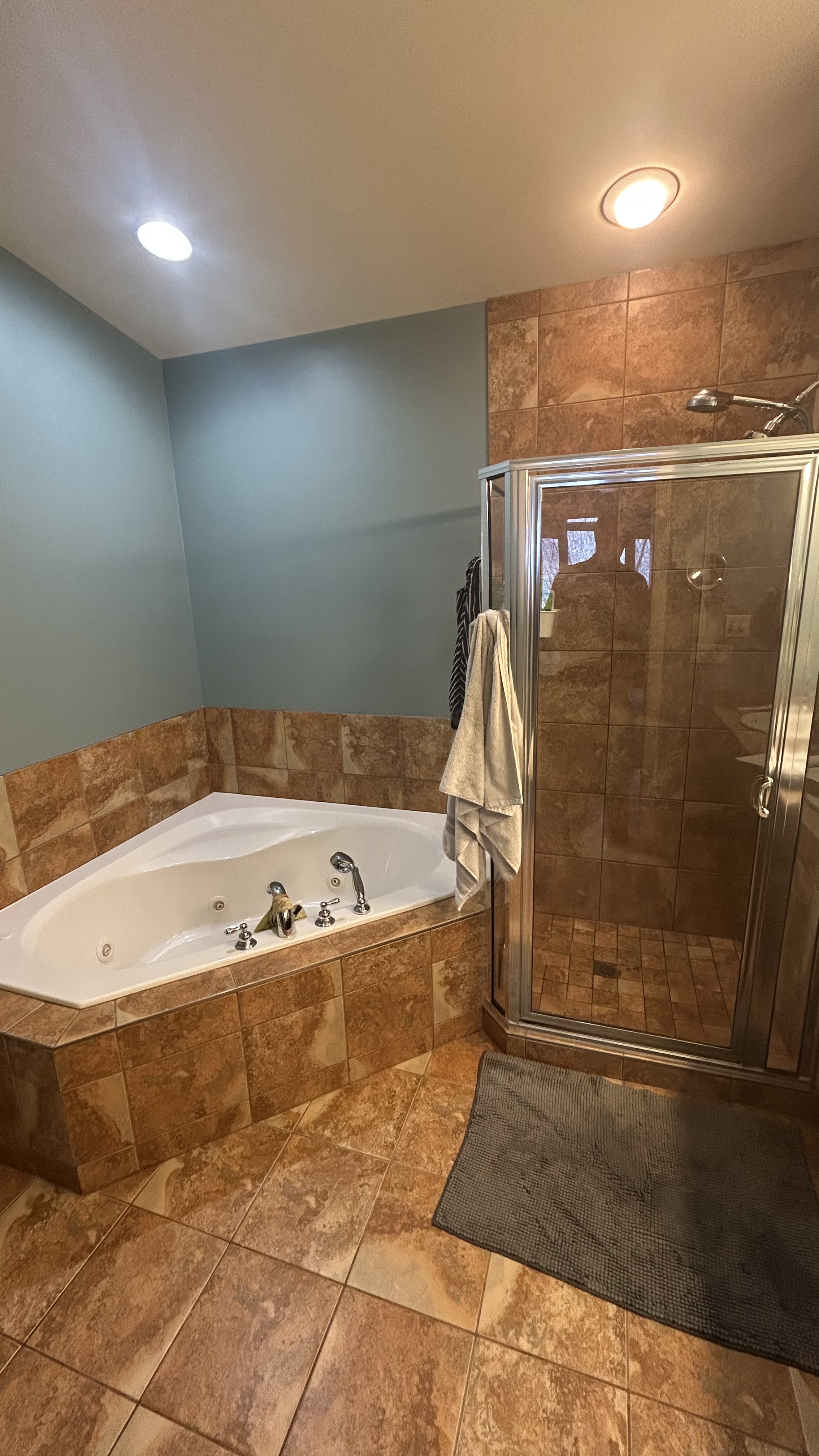 Bathroom before renovation photo 2