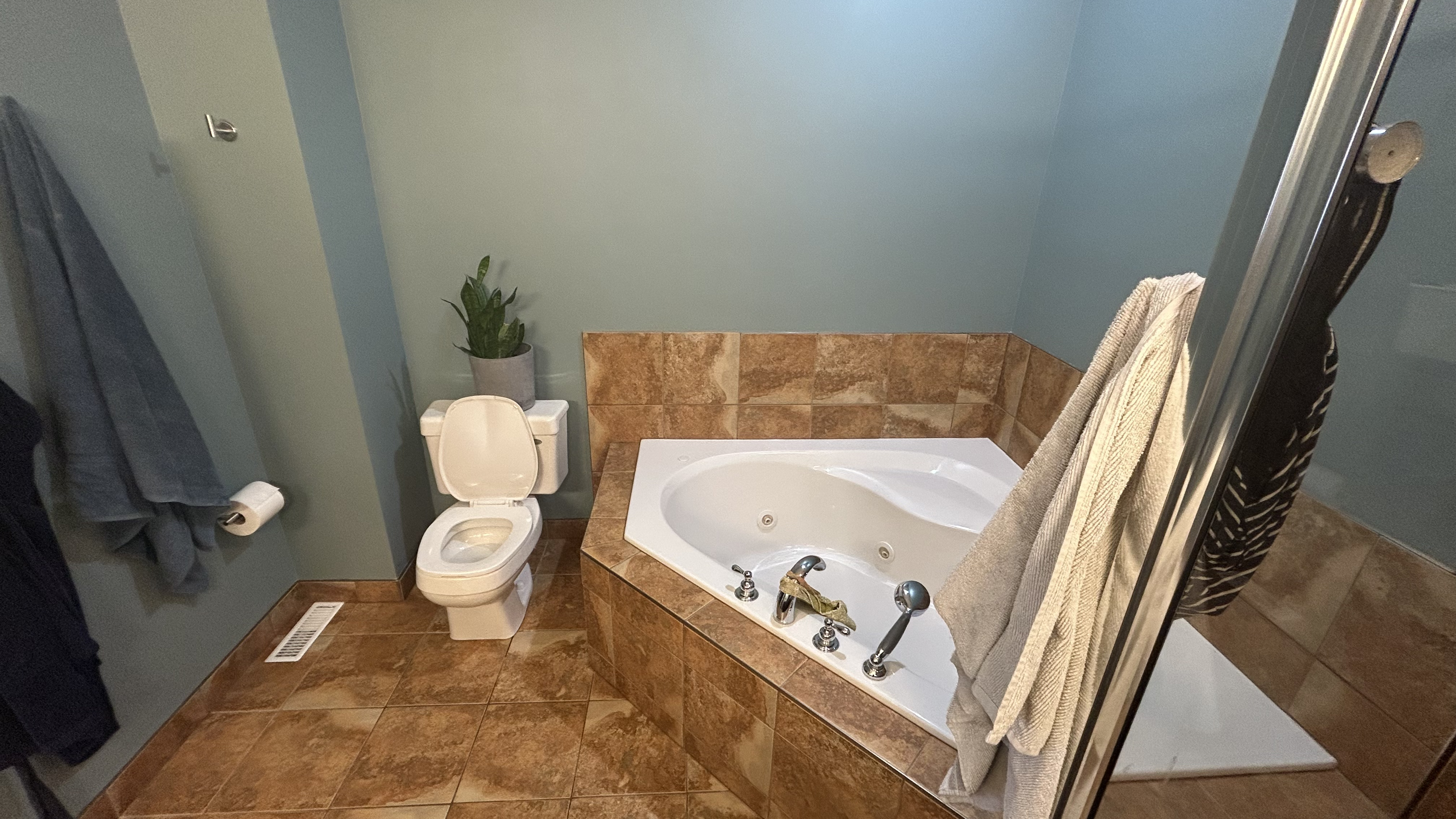 Bathroom before renovation photo 1