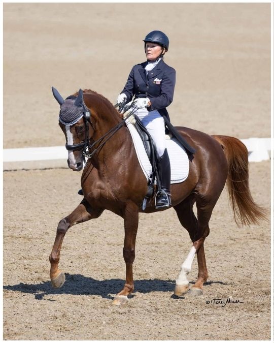 Falling in Love With Riding Again: October Journaling Focus