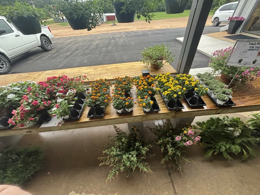 Marigolds, impatiens, and mixed flowers on the wooden bench at the front porch