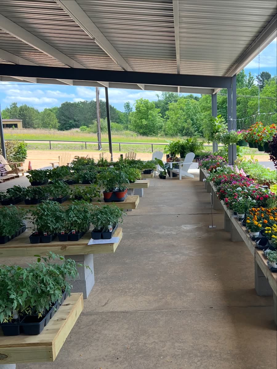 Outdoor garden center display with potted plants on wooden tables