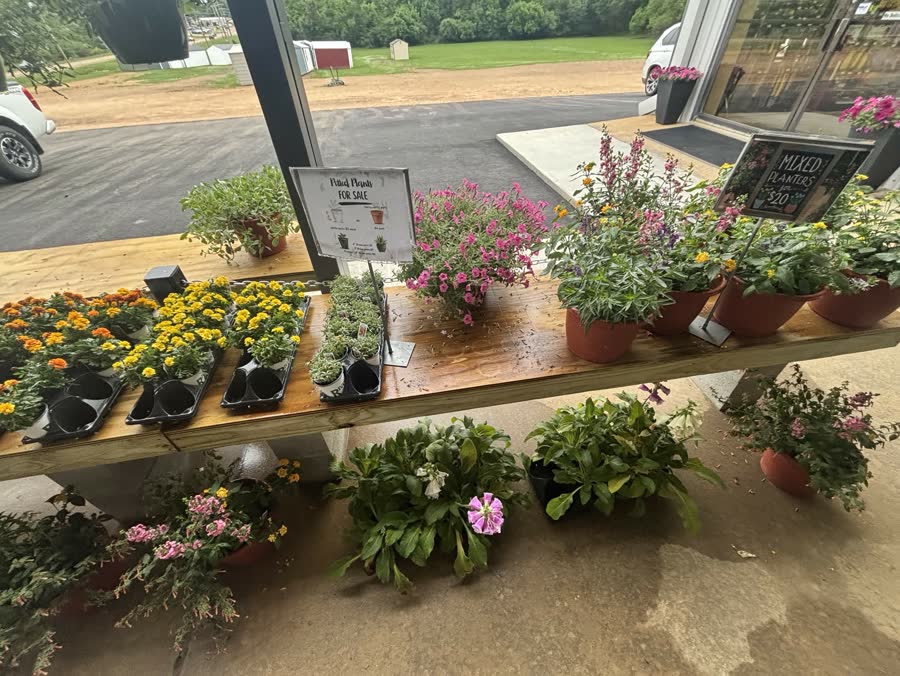 Front porch flower display with marigolds, mixed planters, and 'For Sale' chalk sign