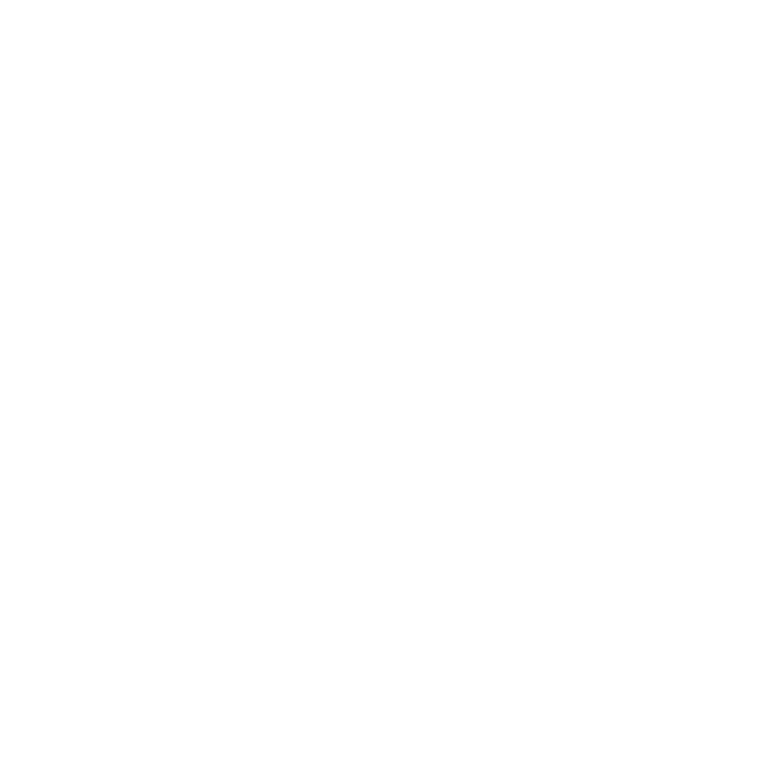 AI voice Bot