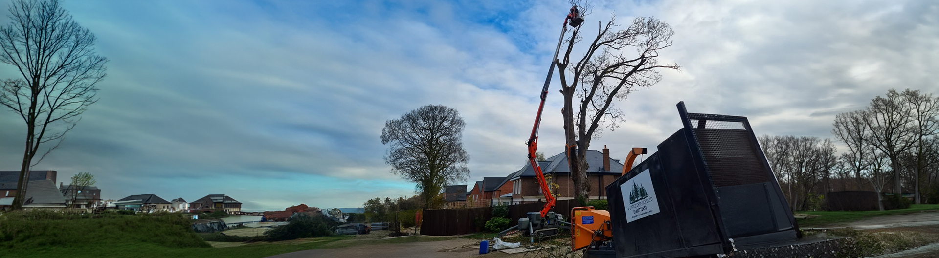 A-Z Tree Services cherry picker dismantling a large tree in South Yorkshire