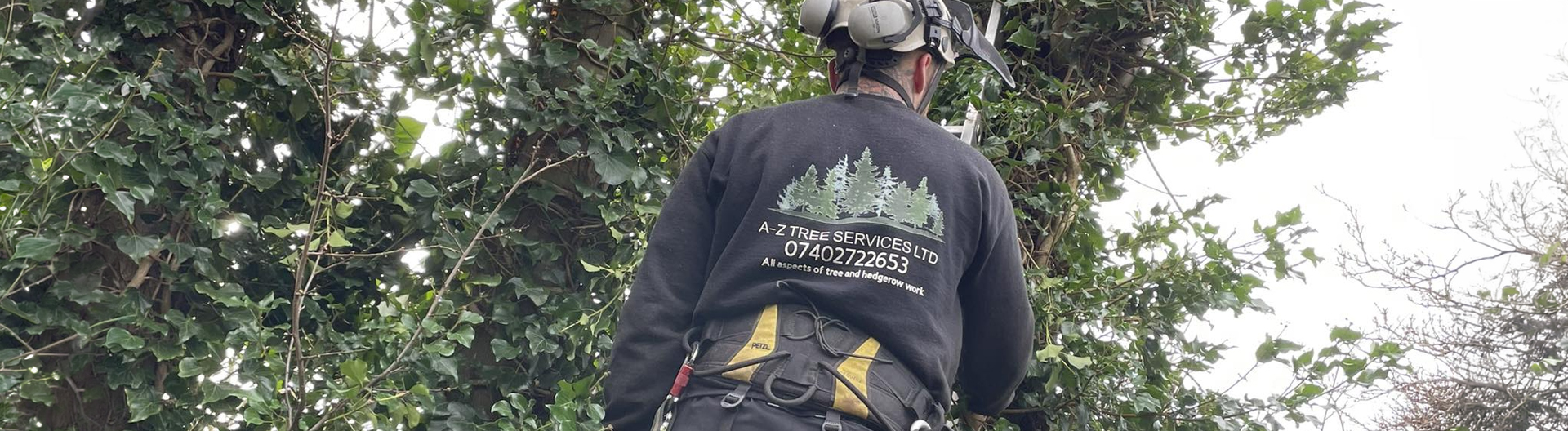 A-Z Tree Services climber working in harness